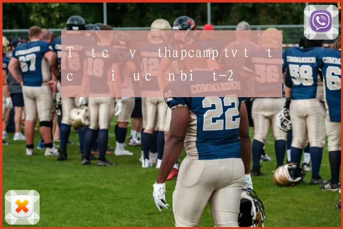 Tất cả về thapcamp tv tất cả điều cần biết