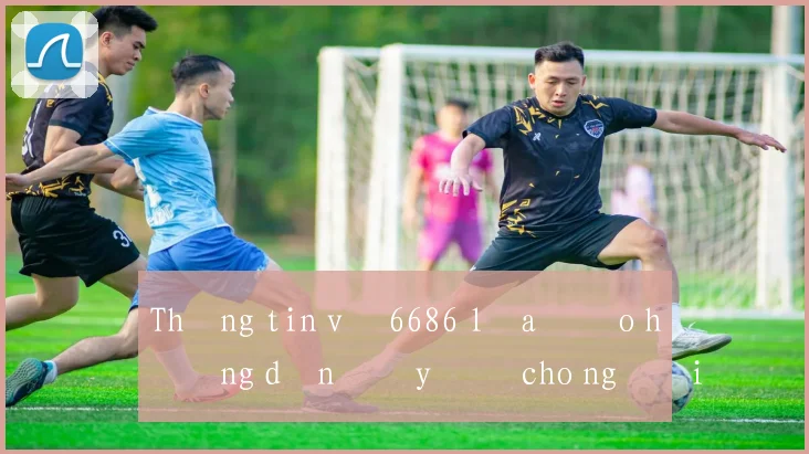 Thông tin về 6686 lừa đảo hướng dẫn đầy đủ cho người mới