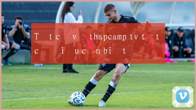 Tất cả về thapcamp tv tất cả điều cần biết
